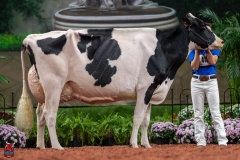 A102403-28764 A102403-28764