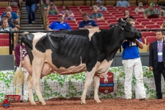 A102406-28765 A102406-28765