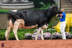 A102411-28766 A102411-28766