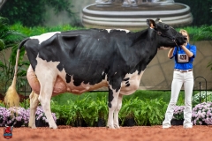 A102418-28767 A102418-28767