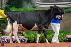 A102423-28768 A102423-28768