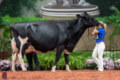 A102451-28769 A102451-28769