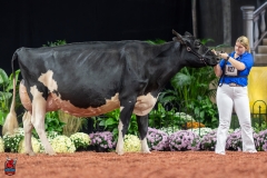 A102457-28771 A102457-28771