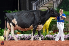 A102468-28772 A102468-28772