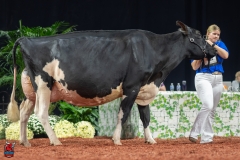 A102478-28774 A102478-28774