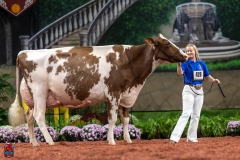 A102486-28775 A102486-28775