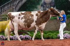 A102493-28776 A102493-28776