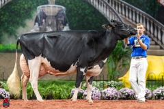 A102510-28777 A102510-28777