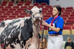 A102530-28781 A102530-28781