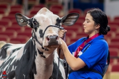 A102532-28782 A102532-28782