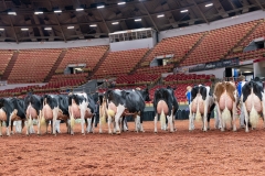 AR300383-Edit AR300383-Edit