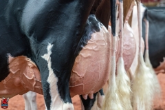 AR300391-Edit AR300391-Edit