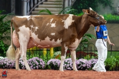 A102261-28752 A102261-28752