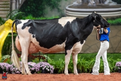 A102271-28753 A102271-28753