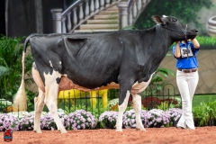 A102290-28754 A102290-28754