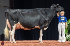 A102292-28755 A102292-28755