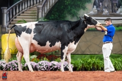 A102296-28756 A102296-28756