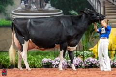 A102305-28757 A102305-28757