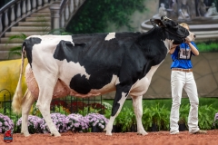 A102313-28758 A102313-28758