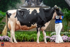 A102334-28759 A102334-28759