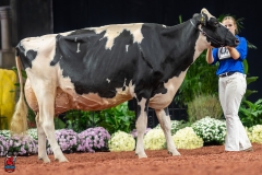 A102336-28760 A102336-28760