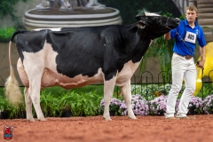 A102341-28761 A102341-28761