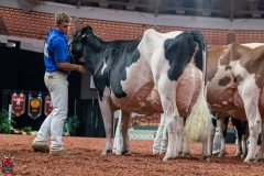 AR300354-Edit AR300354-Edit