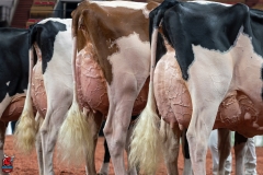 AR300360-Edit AR300360-Edit