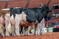 AR300364-Edit AR300364-Edit