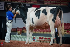 AR300443-Edit AR300443-Edit