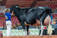 AR300569-Edit AR300569-Edit