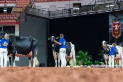 AR300583-Edit AR300583-Edit