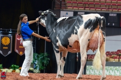 AR300243-Edit AR300243-Edit