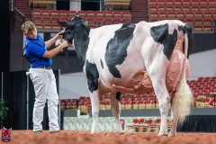 AR300249-Edit AR300249-Edit