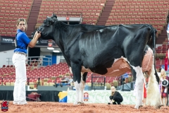 AR300257-Edit AR300257-Edit