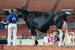 AR300261-Edit AR300261-Edit