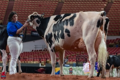 AR300263-Edit AR300263-Edit