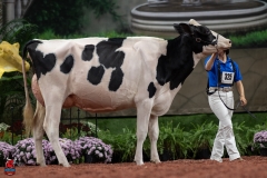 A101286-28666 A101286-28666