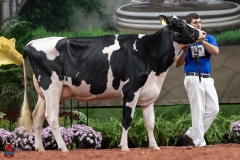 A101308-28667 A101308-28667