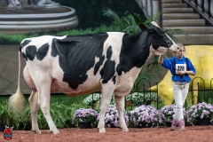 A101326-28669 A101326-28669