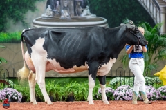 A101340-28670 A101340-28670