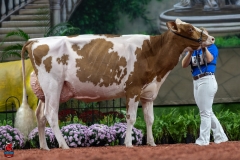 A101366-28672 A101366-28672