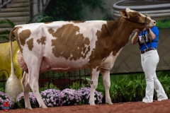 A101368-28673 A101368-28673