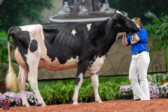 A101382-28674 A101382-28674