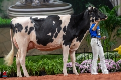 A101396-28675 A101396-28675