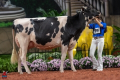 A101401-28676 A101401-28676