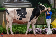 A101434-28678 A101434-28678