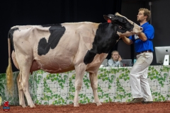 A101442-28679 A101442-28679