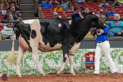 A101443-28680 A101443-28680