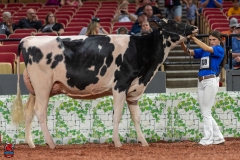 A101452-28681 A101452-28681